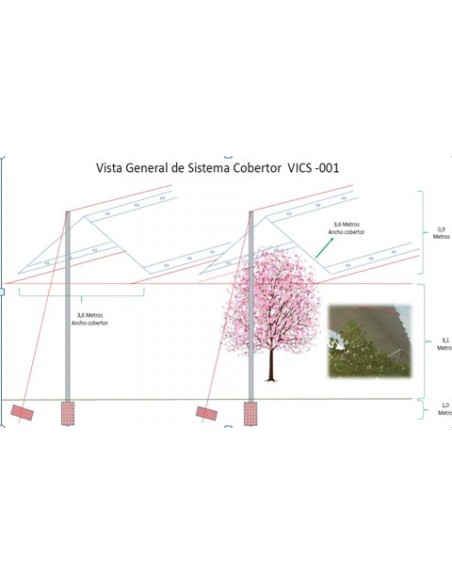 CARPAS DE CEREZOS CARPAS DE CEREZOS
