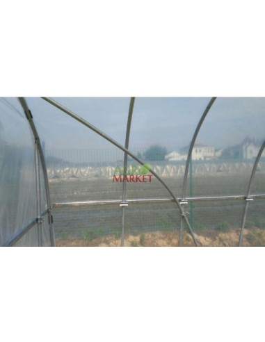 Invernadero Túnel 200 Mts2 + Ventana Cenital