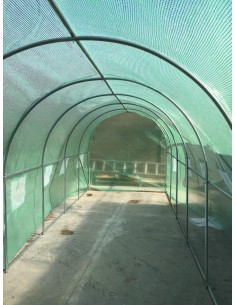 Invernadero 12 mts2 2
