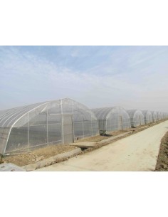 Invernadero 400 metros cuadrados instalado 2