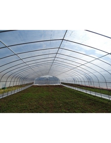 Invernadero 400 metros cuadrados instalado. Interior