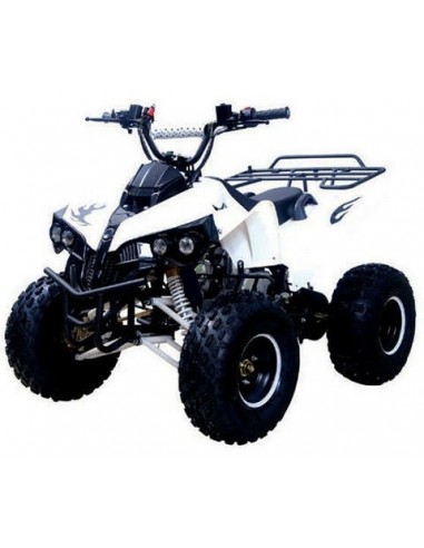 Cuatrimoto ATV 125cc aro 7" Verde