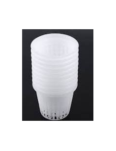 Copa de Siembra Hidropónica 2