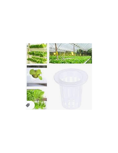 Copa de Siembra Hidropónica