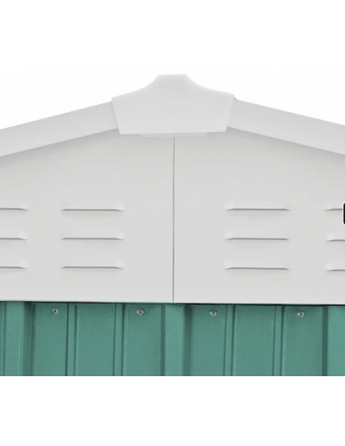 Bodega de Jardín color Verde