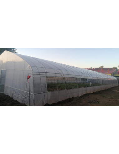 Polietileno 150 micras - Ancho 11.5 metros x metro